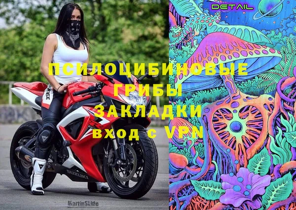 крисы Балахна
