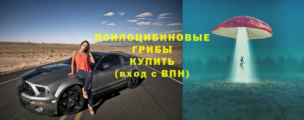 крисы Балахна