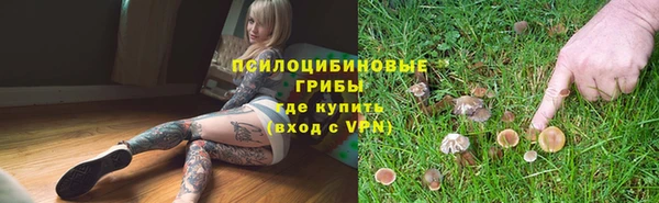 крисы Балахна