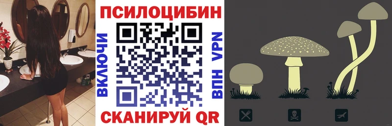 Галлюциногенные грибы MAGIC MUSHROOMS Городец