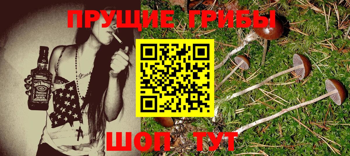 Галлюциногенные грибы Magic Shrooms  Городец 