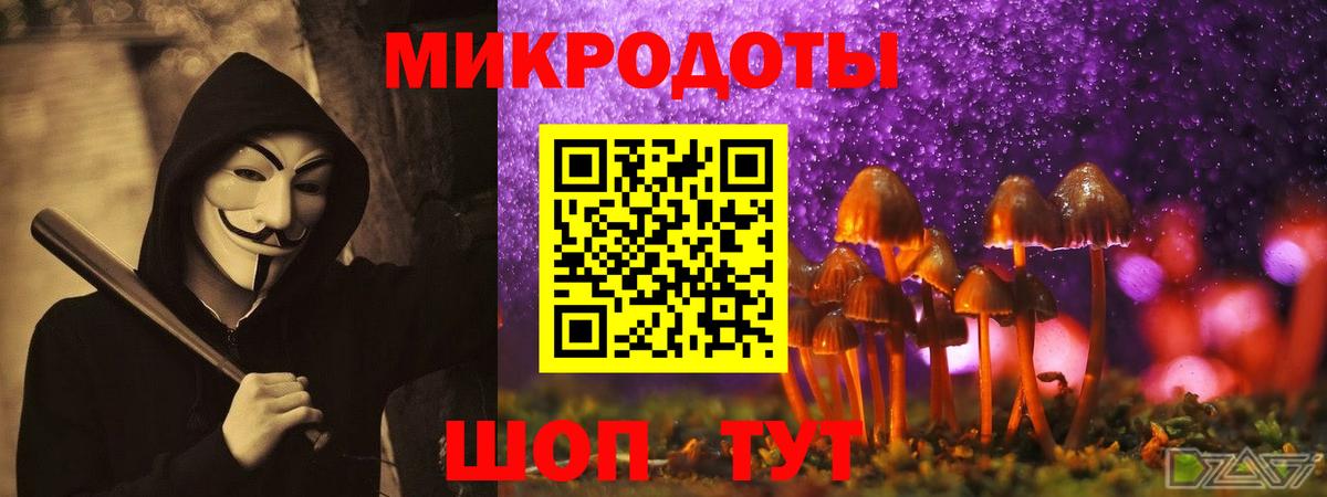 Городец  купить наркотик  Вход с VPN  Галлюциногенные грибы Cubensis  Галлюциногенные грибы Magic Shrooms 