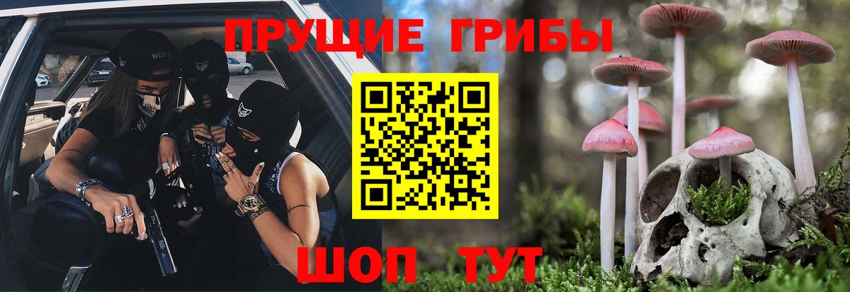 Псилоцибиновые грибы мицелий Городец